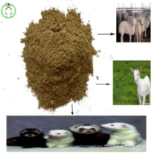 Feed Grade Fishmeal Livestocks Feed Manufacture Price